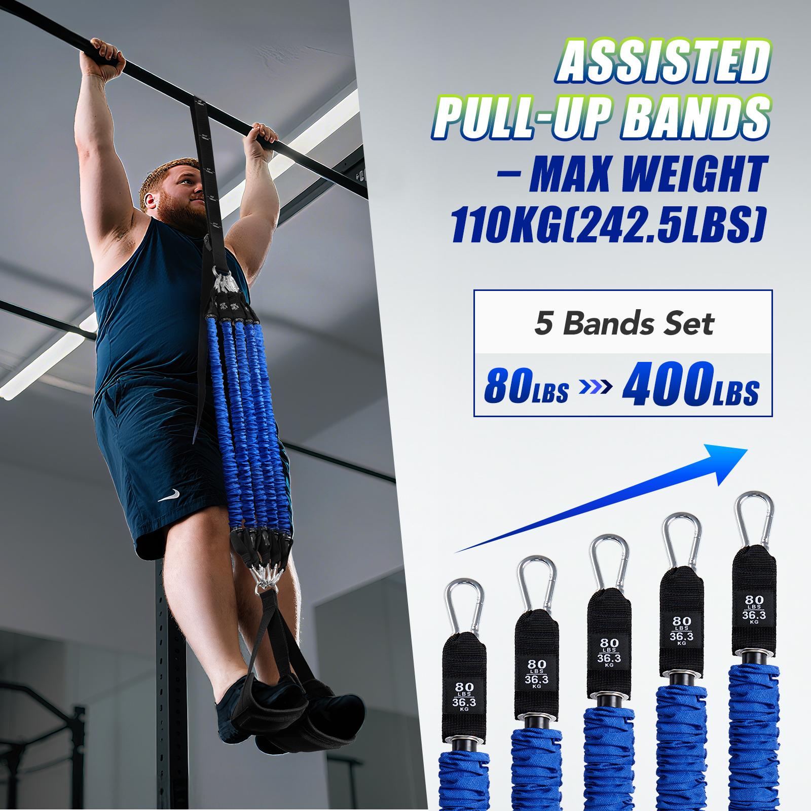 Hochbelastbare Klimmzug-Assist – Sports Equipment Warehouse Bewertung und Preis