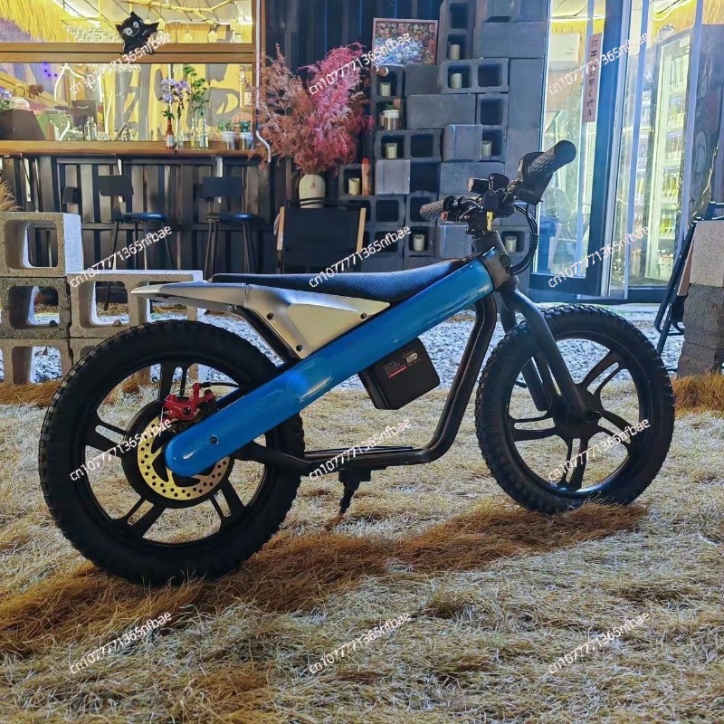 16-Zoll-Elektro-Laufrad für Ki – Balance Bike Kids Bewertung und Preis